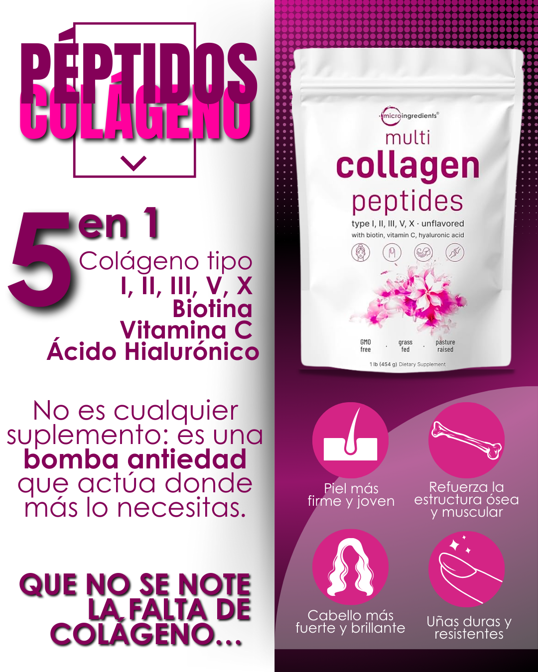 Encabezado
