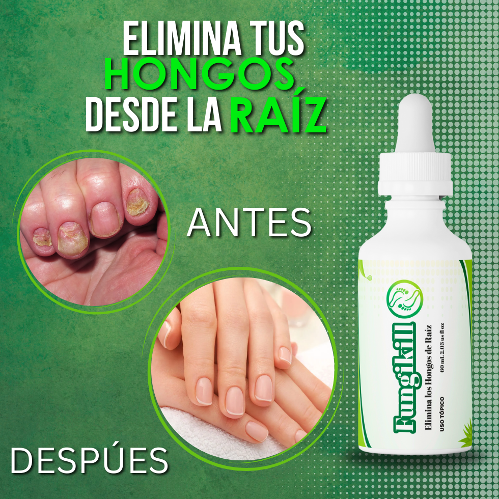 Encabezado