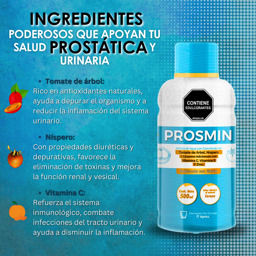 Encabezado